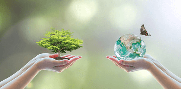 Les étiquettes écologiques